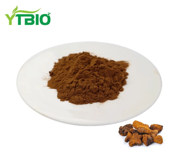 Best Chaga Mushroom Extract